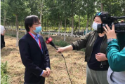 长沙企业申请登记失业人员就业补贴的条件是什么？