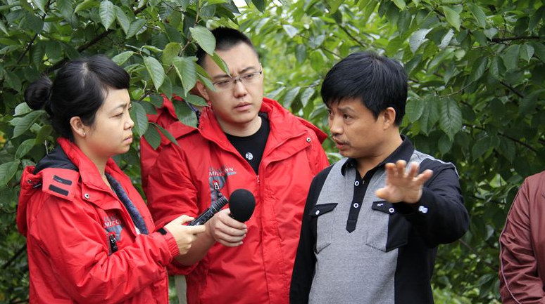 芙蓉区有效应对疫情稳定经济运行的七项措施
